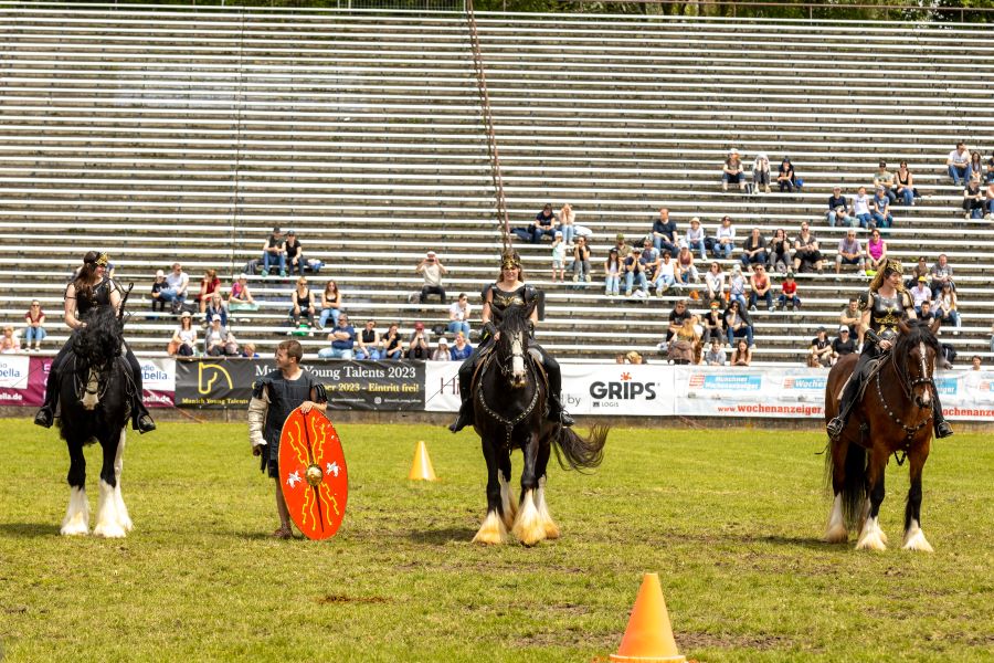 Shire Horse Pferd International 2023