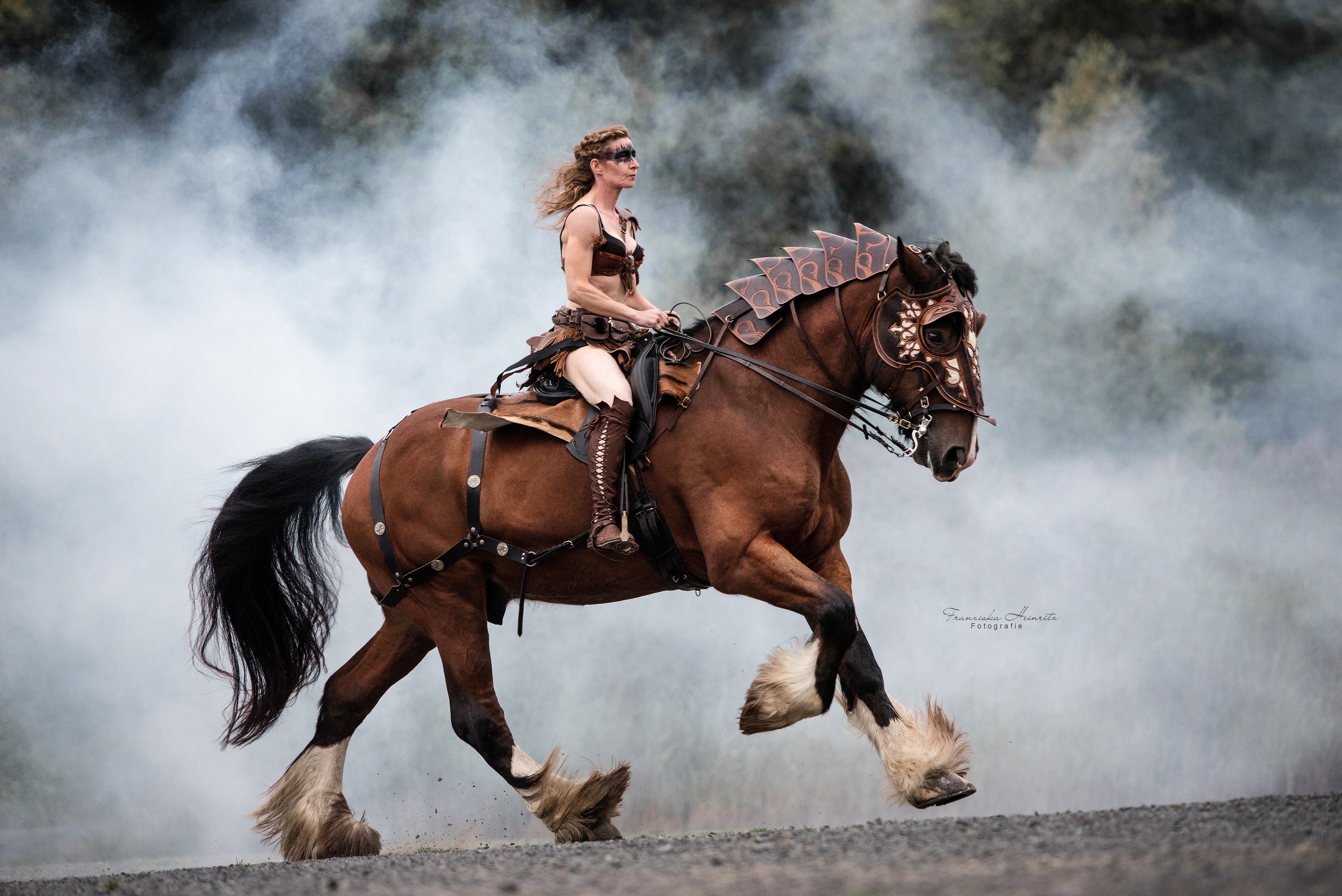 Shire Horse Warrior