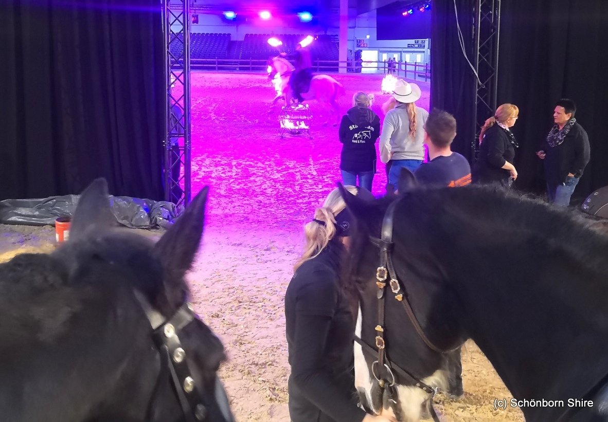 Generalprobe Dortmund Hund & Pferd