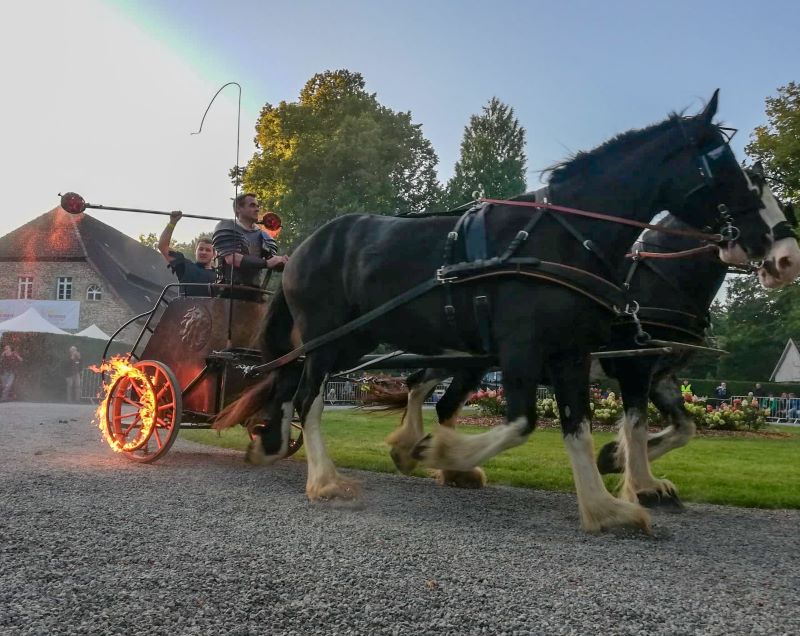 PferdeStark Abendshow