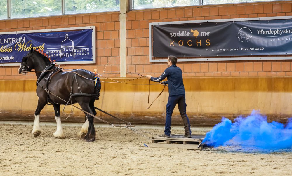 Schauprogramm